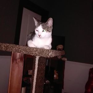 Meet your Posher, Kathy